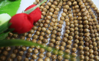 天然小金鐘菩提108粒佛珠 廠家直銷，佛教用品與中藥材的跨界銷售新思路