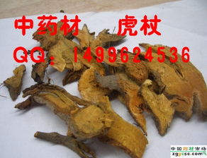 中藥材產(chǎn)業(yè)的多元脈絡(luò) 從產(chǎn)區(qū)到市場的價(jià)值躍遷