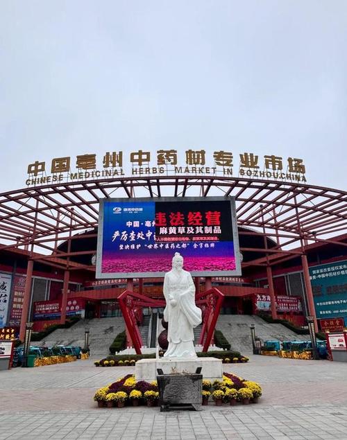從央視曝光的馬錢子亂象看天麻、當(dāng)歸等中藥材的銷售困局與破局之道